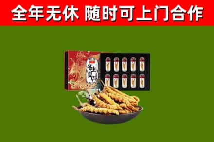 江城县回收冬虫夏草价格